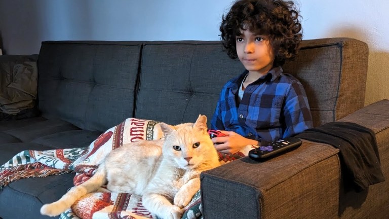 Kid Adopts Senior Flatbush Cat