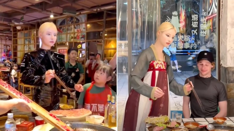 Robotic Human Waitress