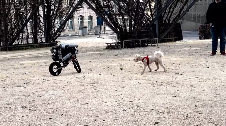 Robotic-Bike-Fetch-With-Dog.jpg?w=750