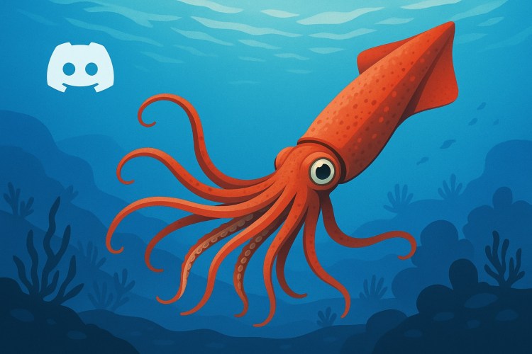 Squid Discord