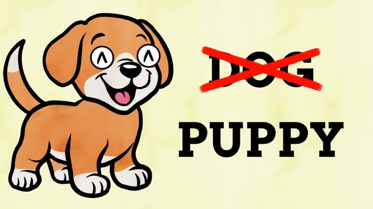 Diminutive Baby Animal Names