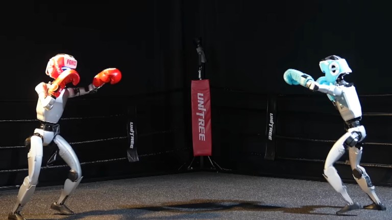 Humanoid Robot Kickboxing