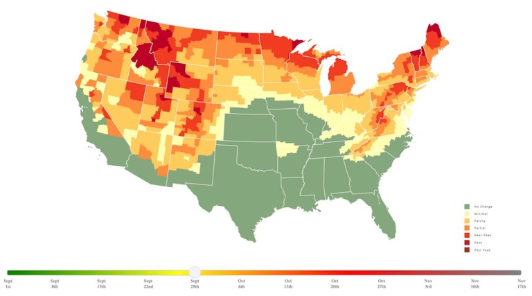 2025 Fall Foliage Map