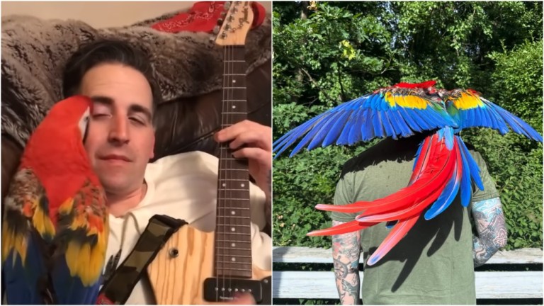 Mona Macaw Adopted