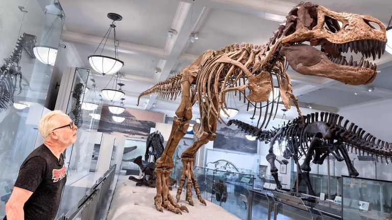 Adam Savage ANMH Dinosaurs