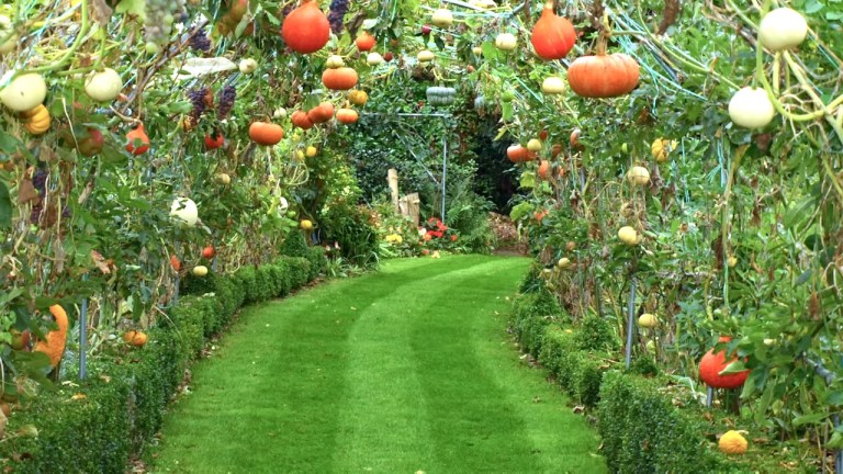Edible Garden Tunnel