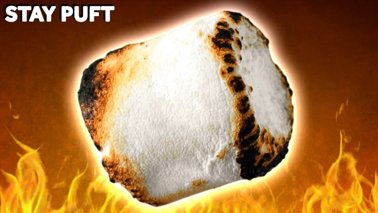 Evolution of the Marshmallow