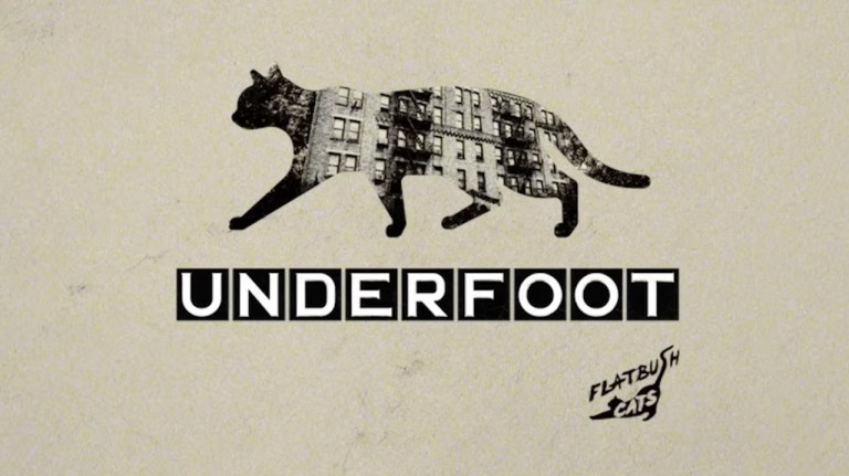 Flatbush Cats Podcast Underfoot