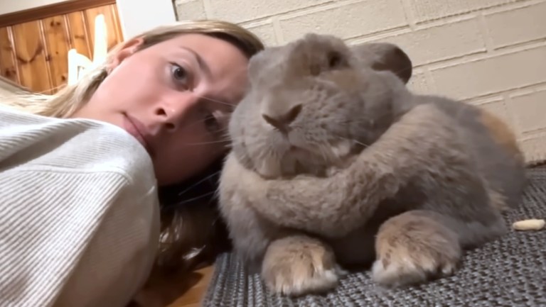 Former Meat Bunny Acts Like Dog