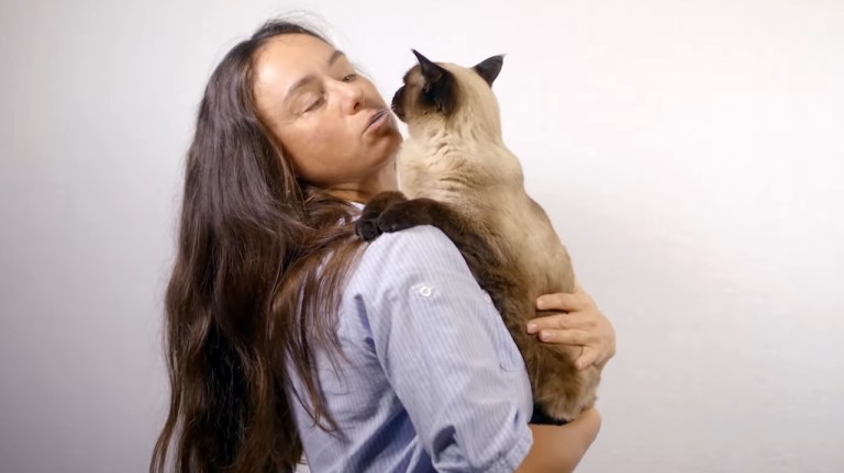 How to Pick Up a Cat