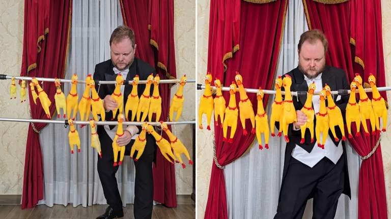 Rubber Chickens Popular Songs