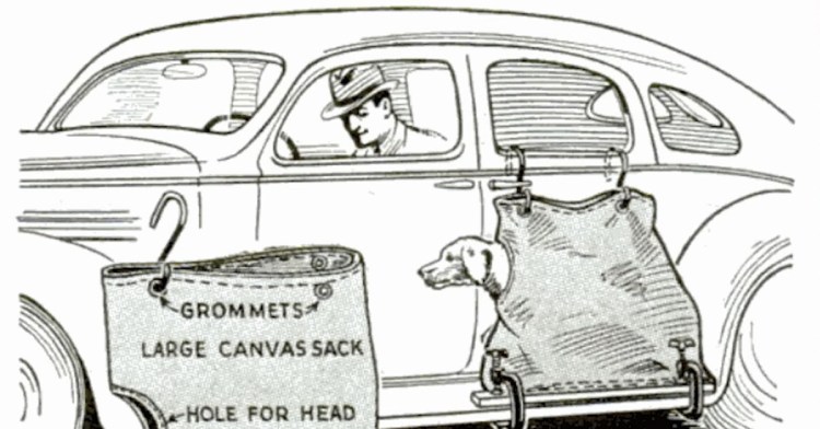 Running-Board-Dog-Sack.jpg?w=750