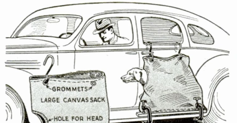 Running Board Dog Sack
