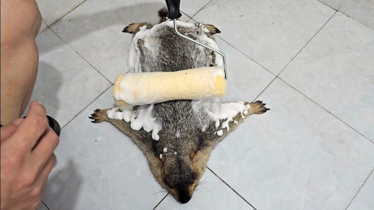 Cleaning Marmot Paint Roller