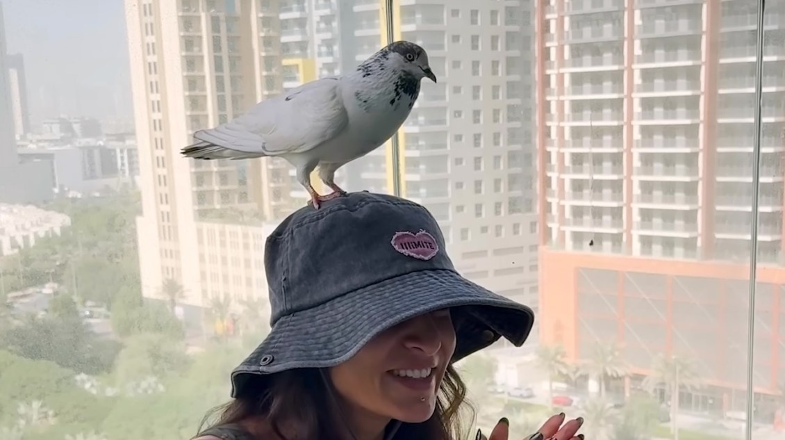 Woman Befriends Pigeon