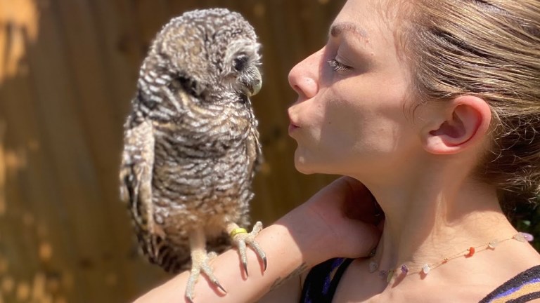 Woman Hand Raises Owl