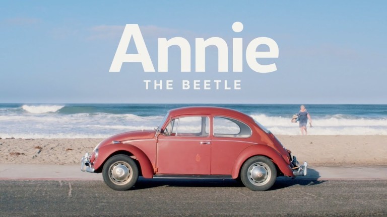 Annie the Beetle