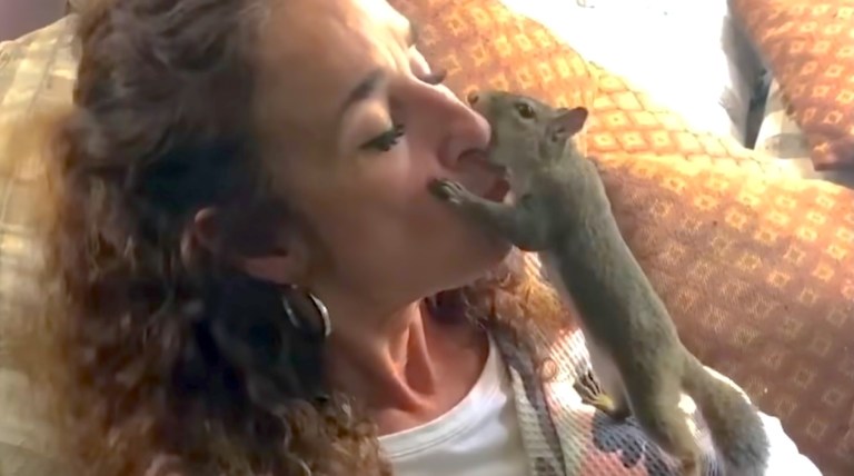 Mr. Peaches Rescued Squirrel