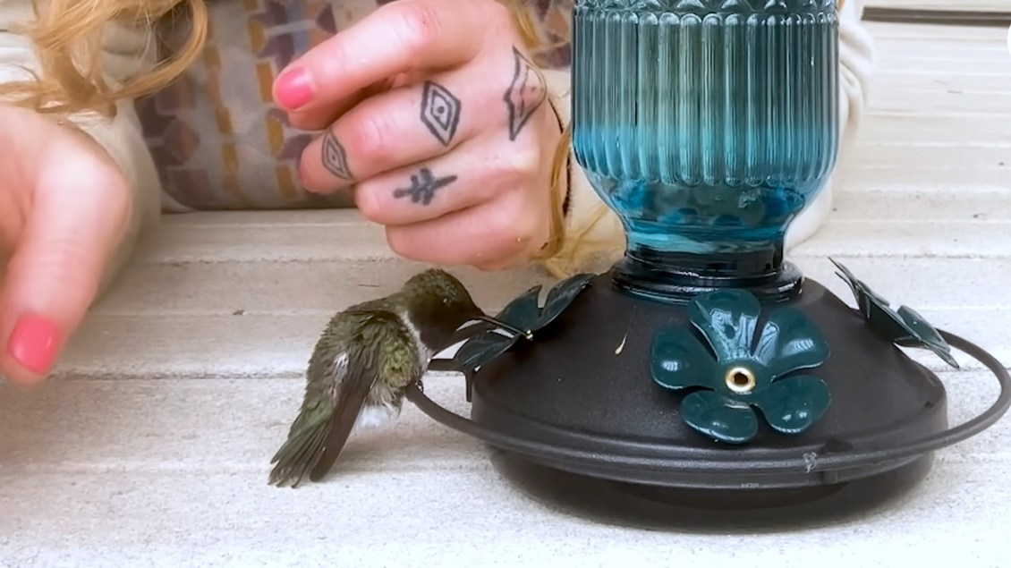 Woman Revives Hummingbird