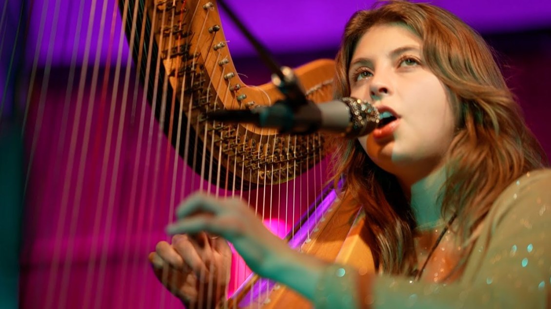 Beautiful Harp Cover of the Grateful Dead’s ‘Bird Song’