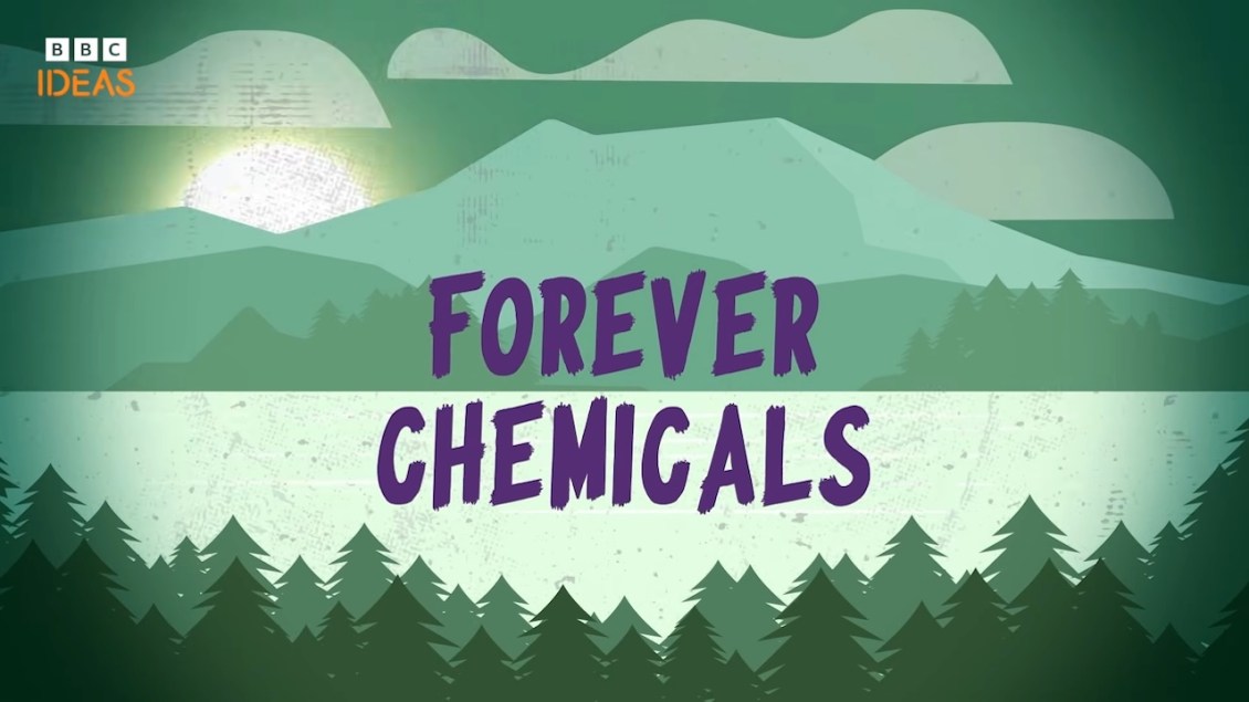 How ‘Forever Chemicals’ (PFAS) Affect the Human Body