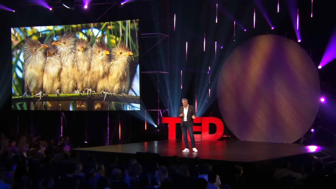 A Brilliant TED Talk About How Funny Wildlife Photos Can Lead to Empathy for Conservation Efforts