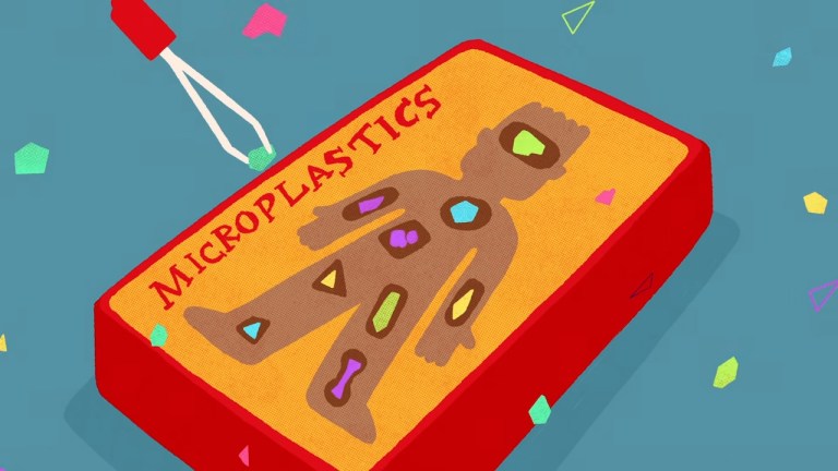 Microplastics Human Body