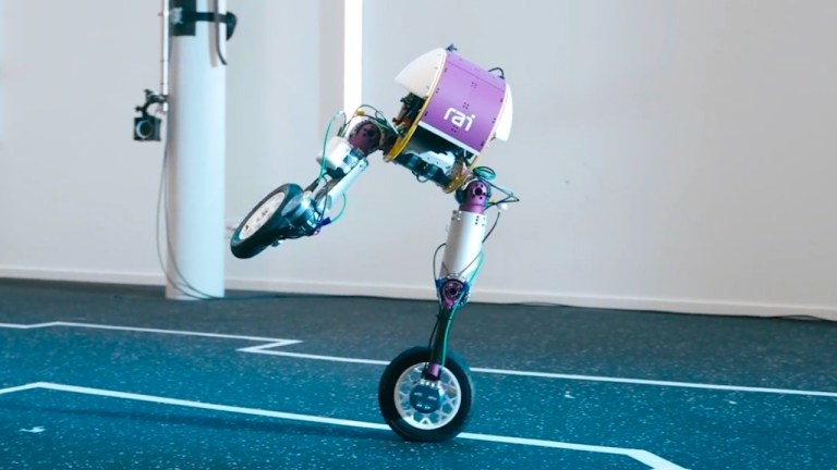 Roadrunner Bipedal Robot