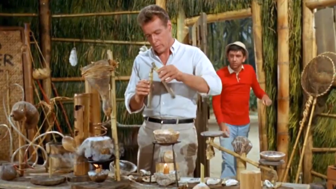 The Professor Gilligan's Island