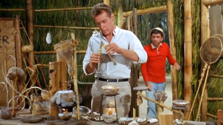 The Professor Gilligan's Island