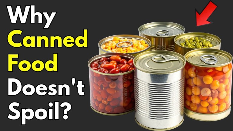 Why Canned Food Doesn't Spoil