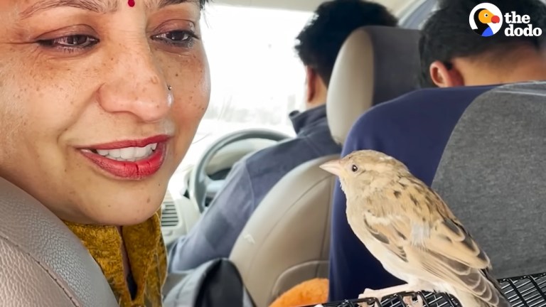 rescued bird like puppy