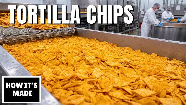 Nixtamalization Tortilla Chips