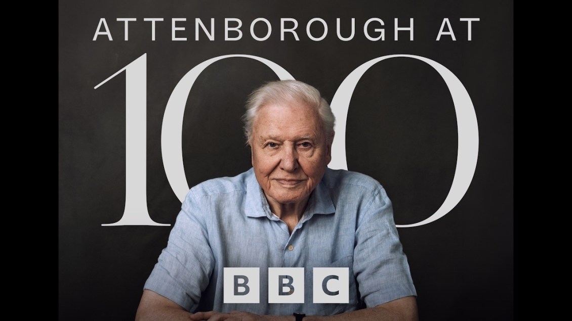 A Heartfelt BBC Tribute Honoring Sir David Attenborough on His 100th Birthday