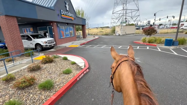 Riding Horse Through Drive Thru