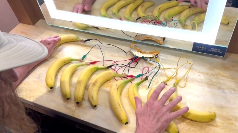 Weird Al Banana Synthesizer