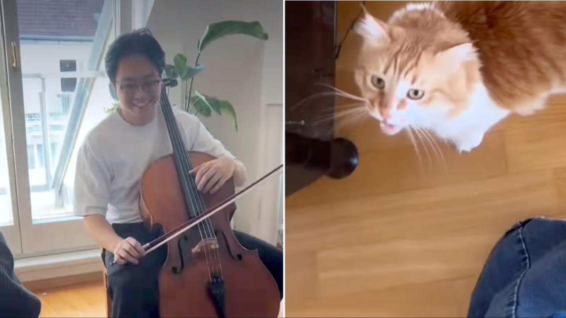 Musician Mimics His Cat’s Cries on Cello