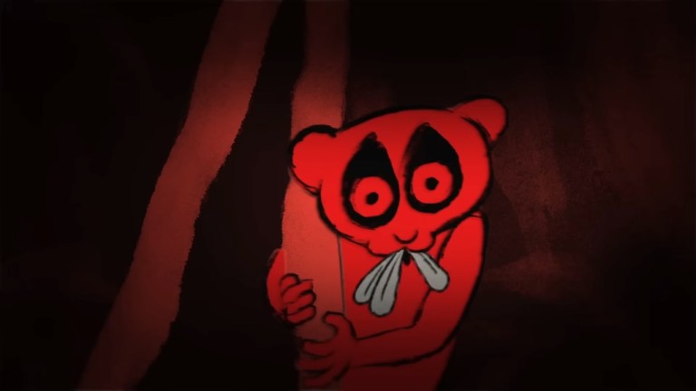 Deadly Slow Loris