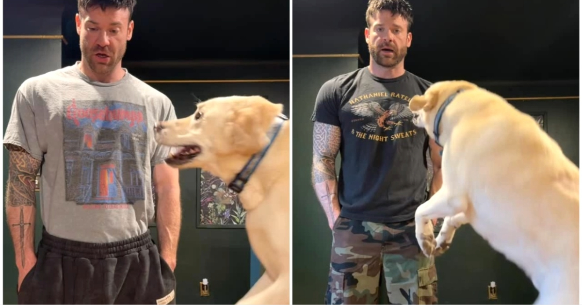 Dog Gleefully Jumps Up and Down When His Human Deadpans His Desire to Go for a Walk