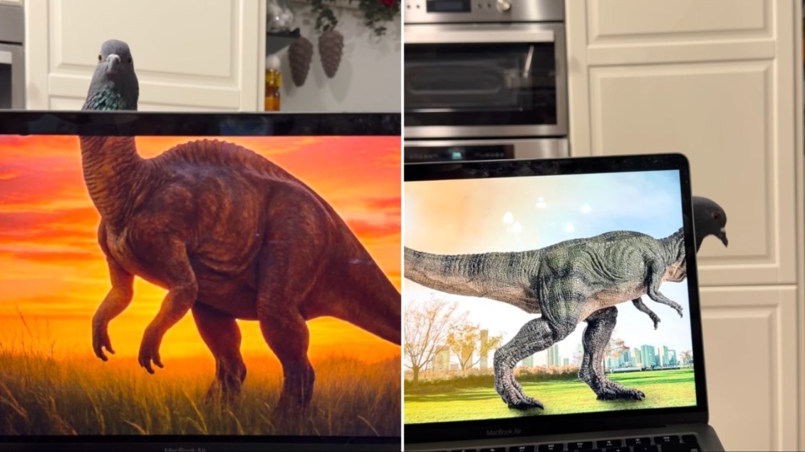 Pigeon Morphs Into Dinosaurs While Peeking Over a Computer Screen