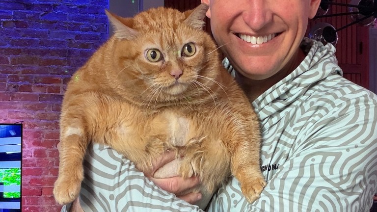 Pumpkin Cat SPCA CEO