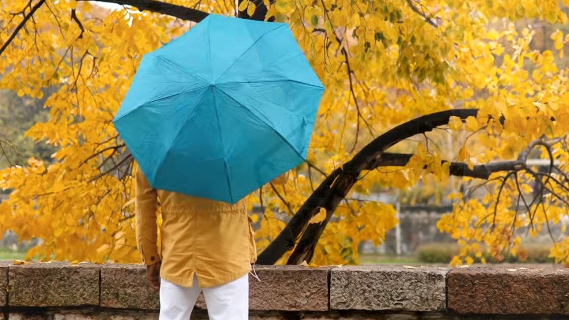 Umbrella Origins