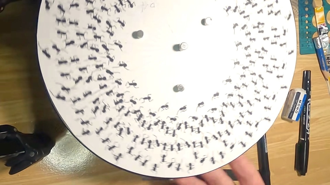 Hand-Drawn Ants Crawl Across a Spinning Turntable