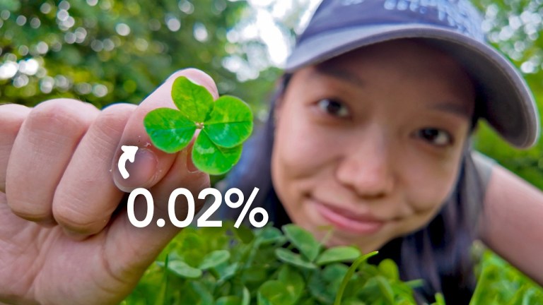 Four Leaf Clover