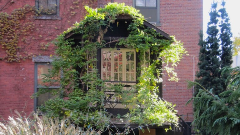 Hidden Treehouse Manhattan