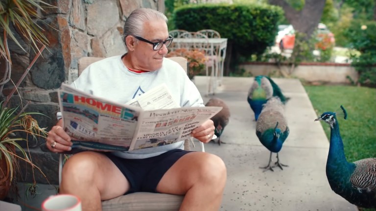 Our Neighbors The Peacocks Documentary