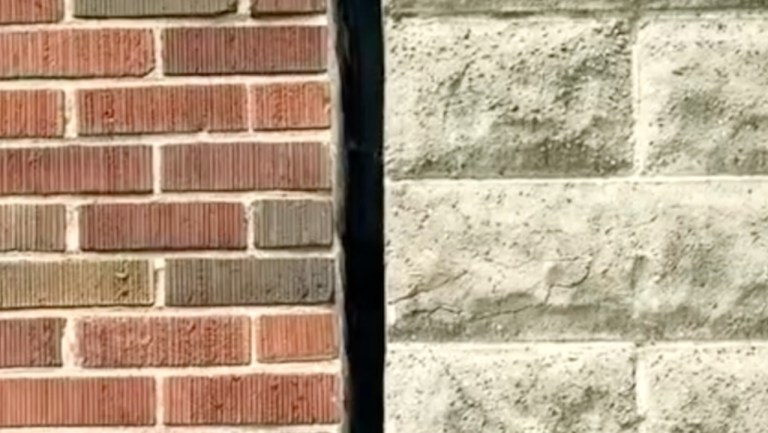 Urban Crannies