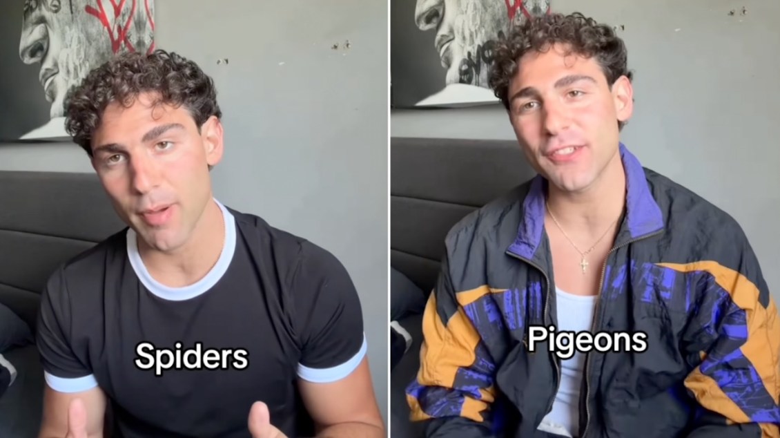 Comedian Gives Voice to Existential Animals Describing Their Purpose in Life