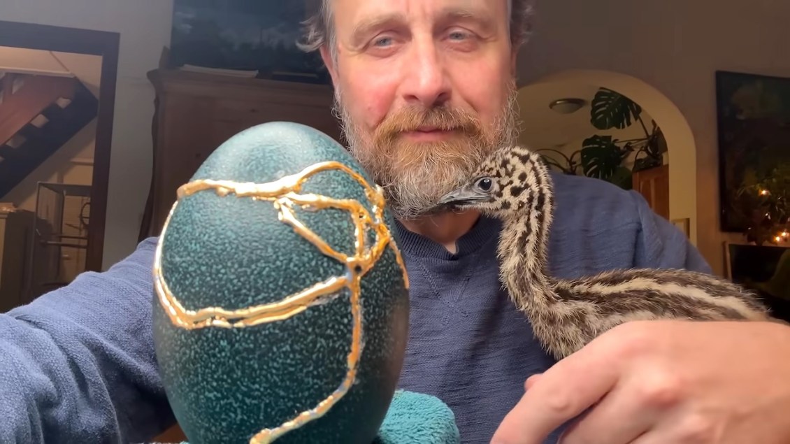 Compassionate Man Incubates Six Abandoned Emu Eggs and Repairs a Hatched Shell With Gold Leaf