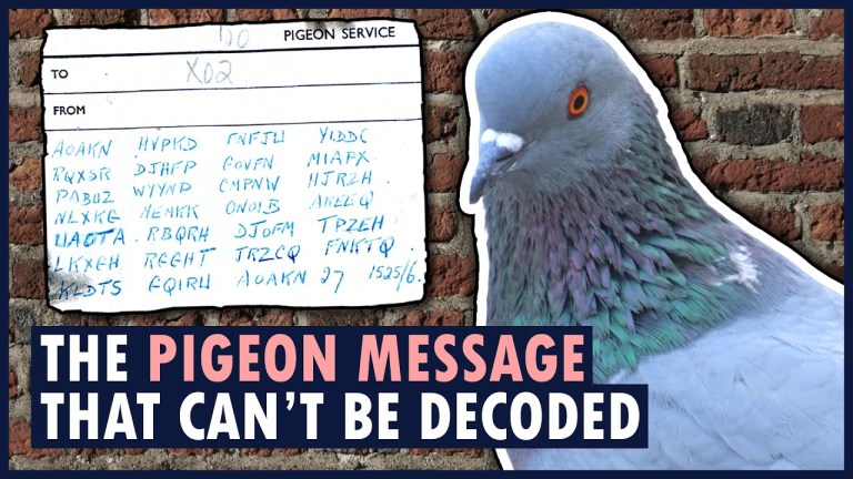 Encrypted Pigeon Message WWII